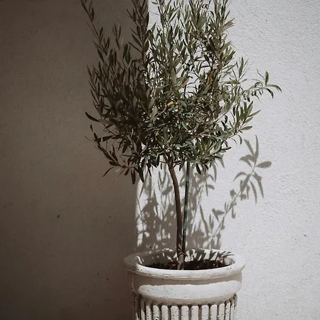 Eunoia Vama Veche